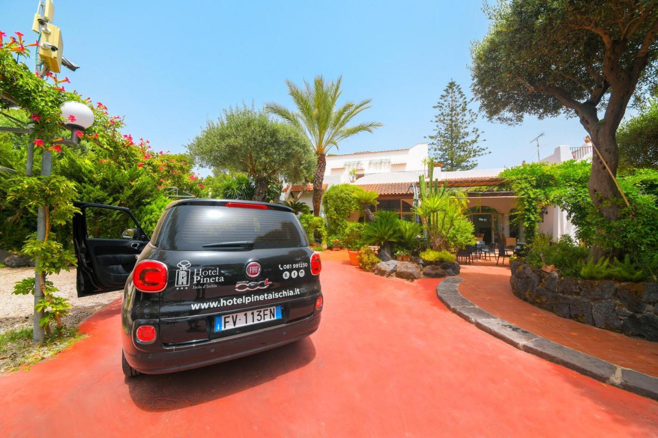 Hotel Pineta ايسكيا المظهر الخارجي الصورة