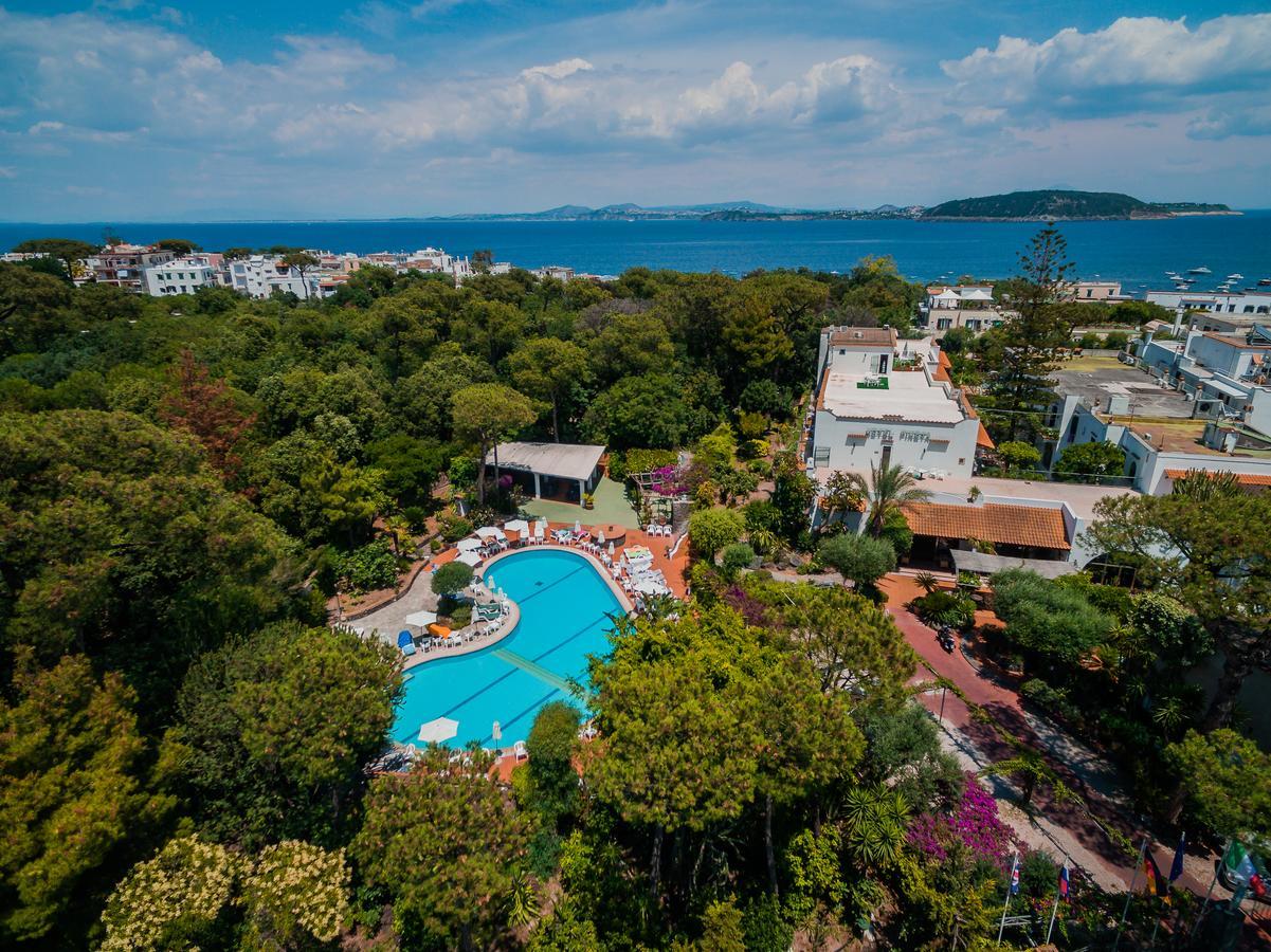 Hotel Pineta ايسكيا المظهر الخارجي الصورة